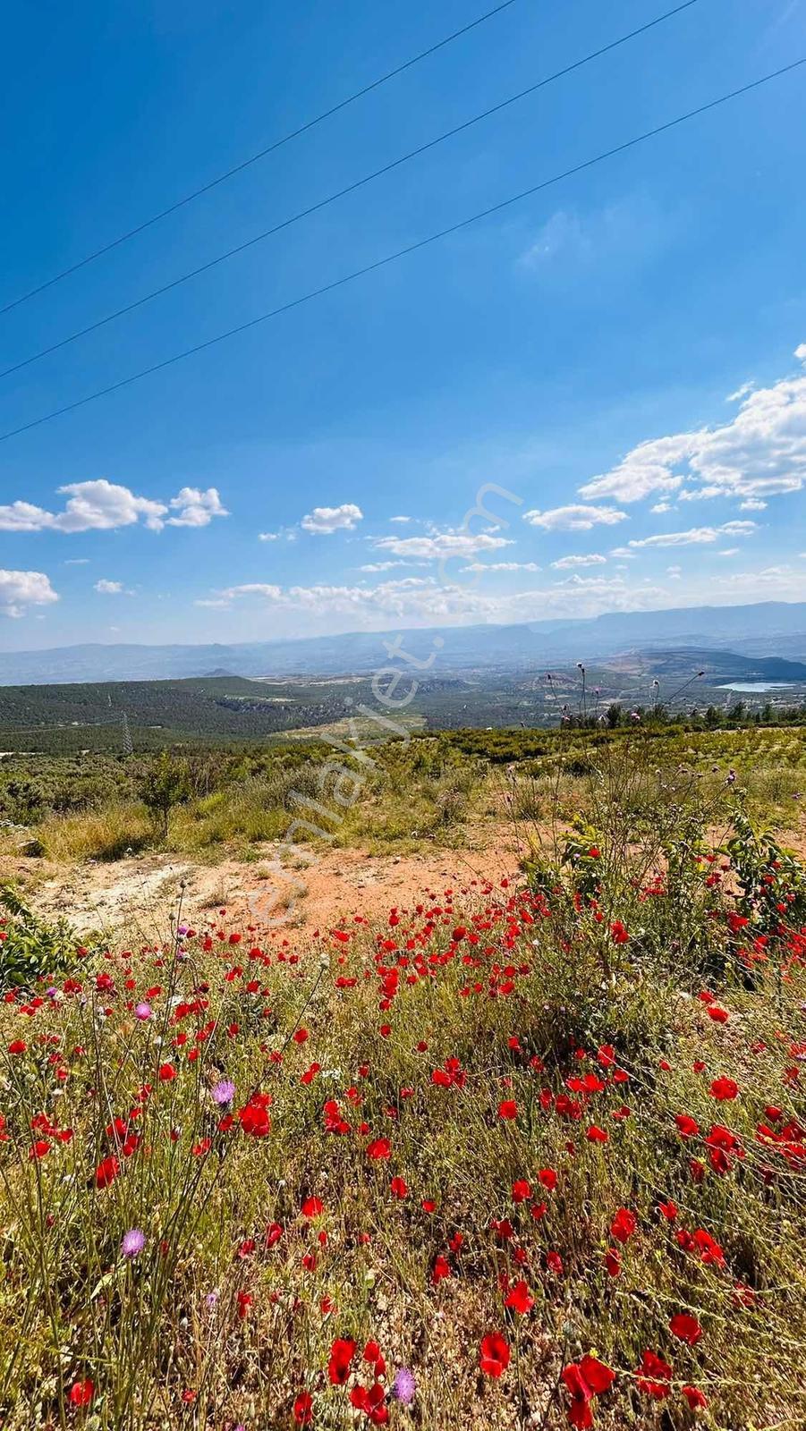 Bağcağızda Mut Ve Gölet Manzaralı Arsa - Görsel 7