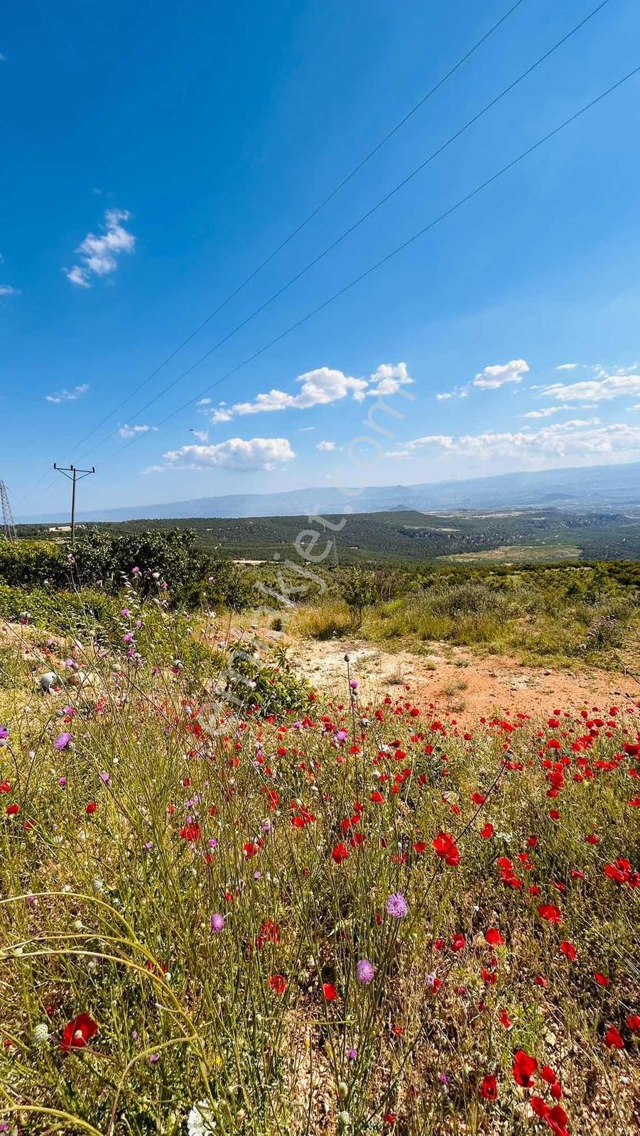 Bağcağızda Mut Ve Gölet Manzaralı Arsa - Görsel 2