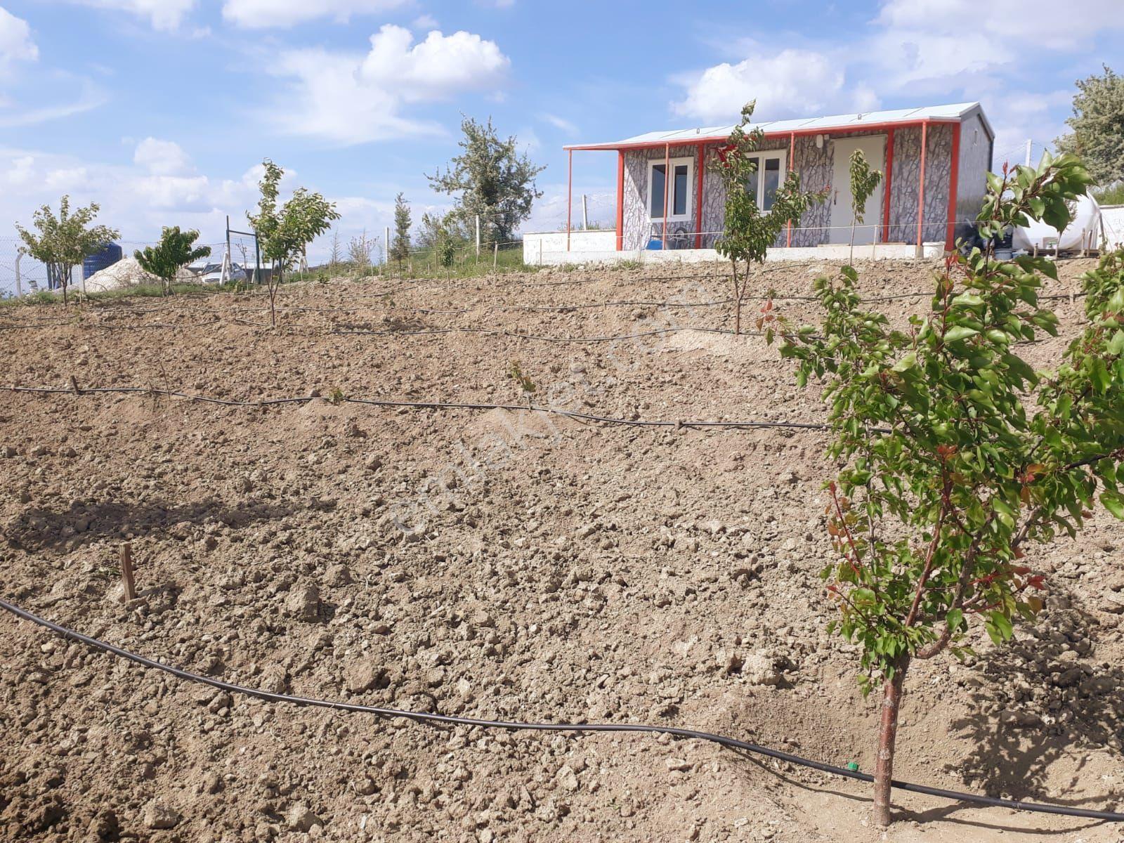 Kullanıma Hazır Kurulu Düzen Harika Doğa Manzarası - Görsel 20