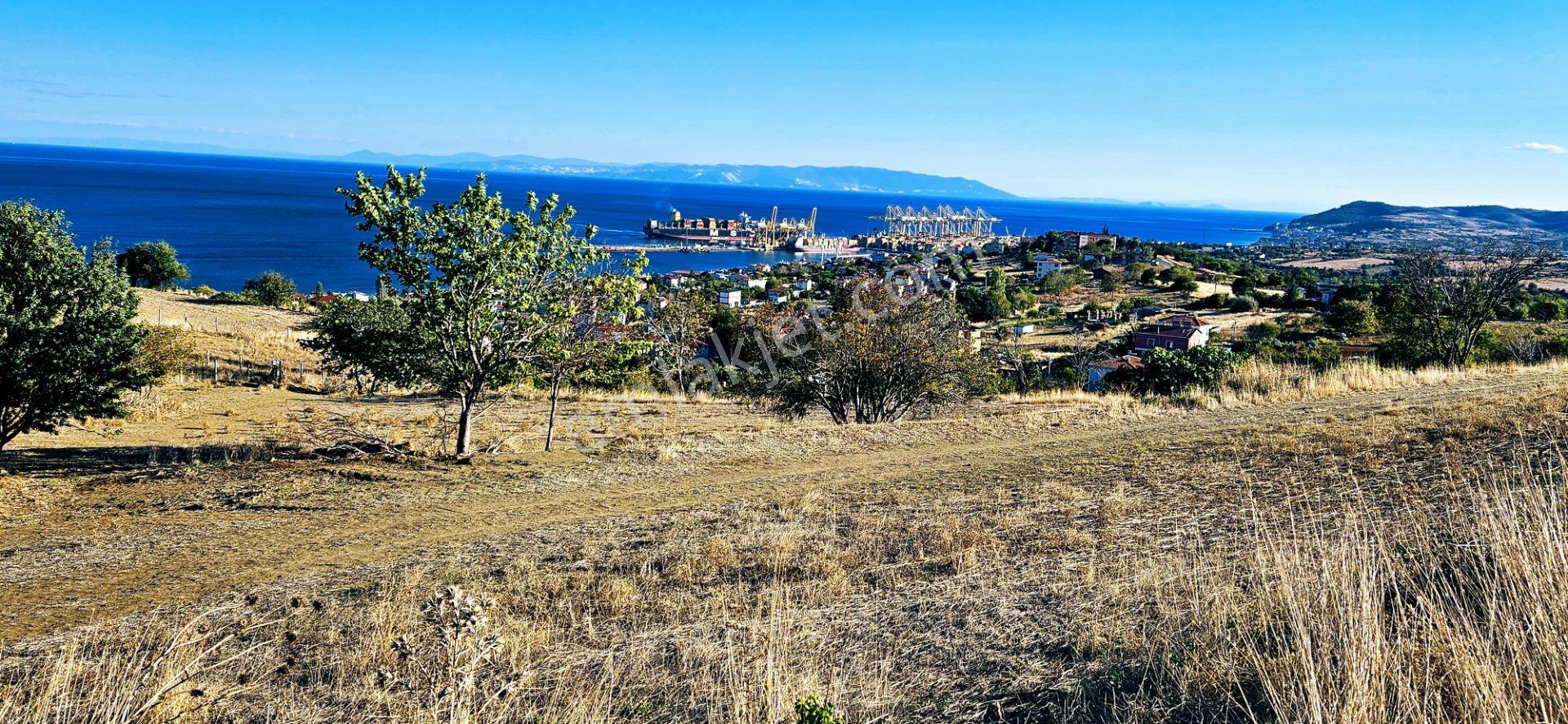 Full Deniz Ve Doğa Manzara Hayel Ettiğin Müstakil Ev İçin Fırsat-kelepir Köşe Arsa - Görsel 28