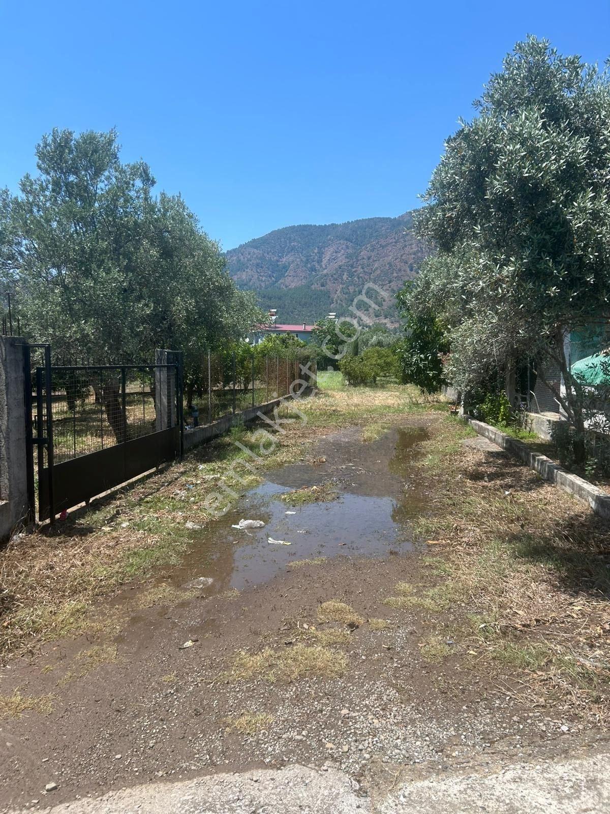 Muğla Köyceğiz Toparlar 929m2 Villa İmarlı Arsa - Görsel 4