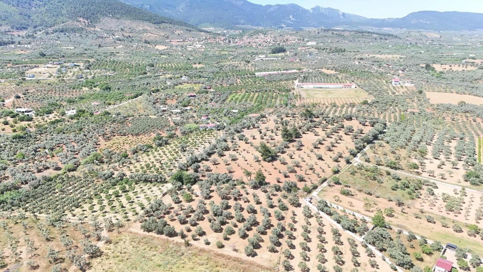Torbalı Çakırbeyli Köyünde Satılık 4675 M2 Tarla