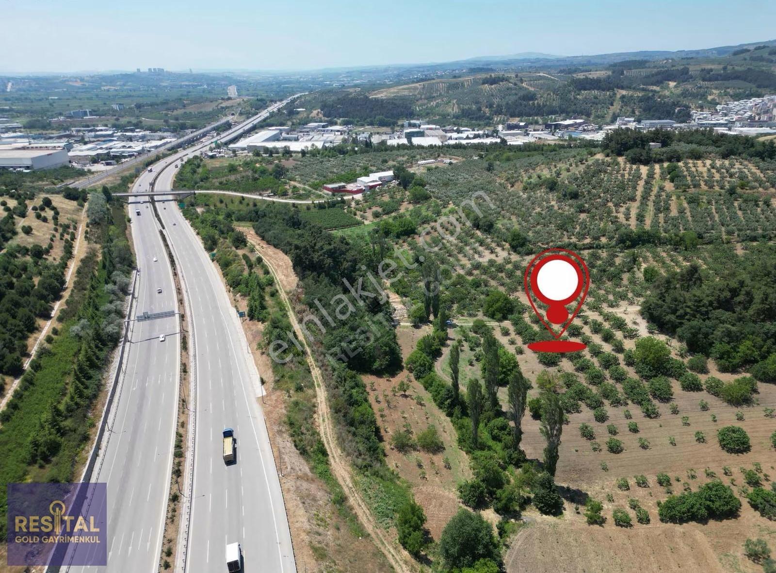 Osmangazi Alaşar Da 6652m2 Satılık Arazi