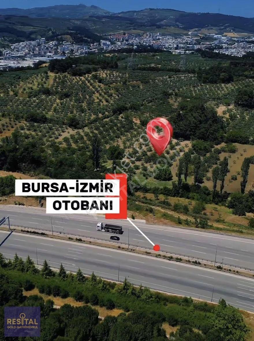 Osmangazi Alaşar Da 6652m2 Satılık Arazi - Görsel 5