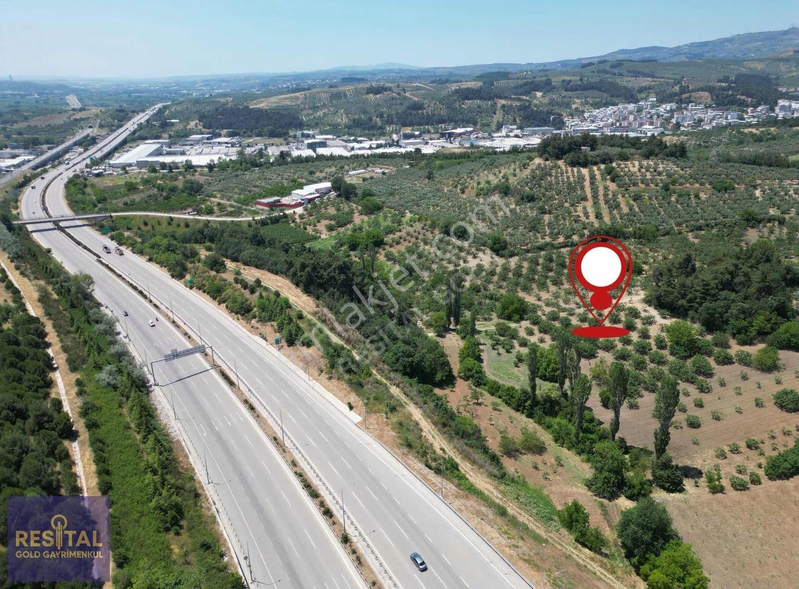 Osmangazi Alaşar Da 6652m2 Satılık Arazi - Görsel 6