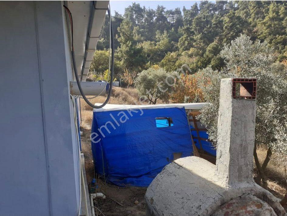 Turgutlu Satılık Bozkır Mah 5110m2 Bağ İçinde 50 Adet Meyve Ağaçları Ve 2+1 Ev Var - Görsel 8
