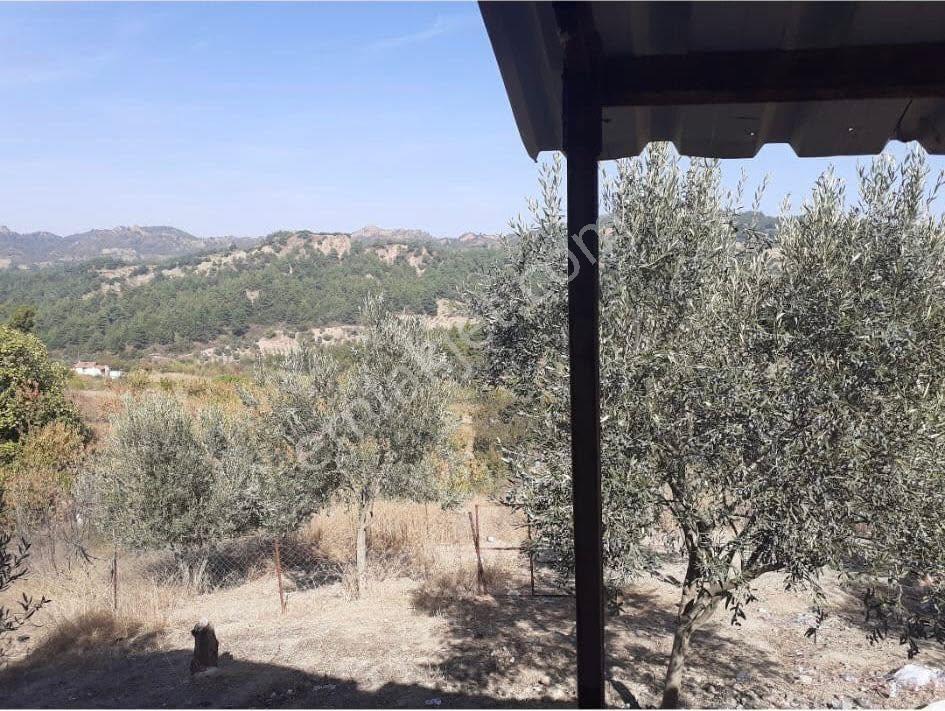 Turgutlu Satılık Bozkır Mah 5110m2 Bağ İçinde 50 Adet Meyve Ağaçları Ve 2+1 Ev Var - Görsel 5
