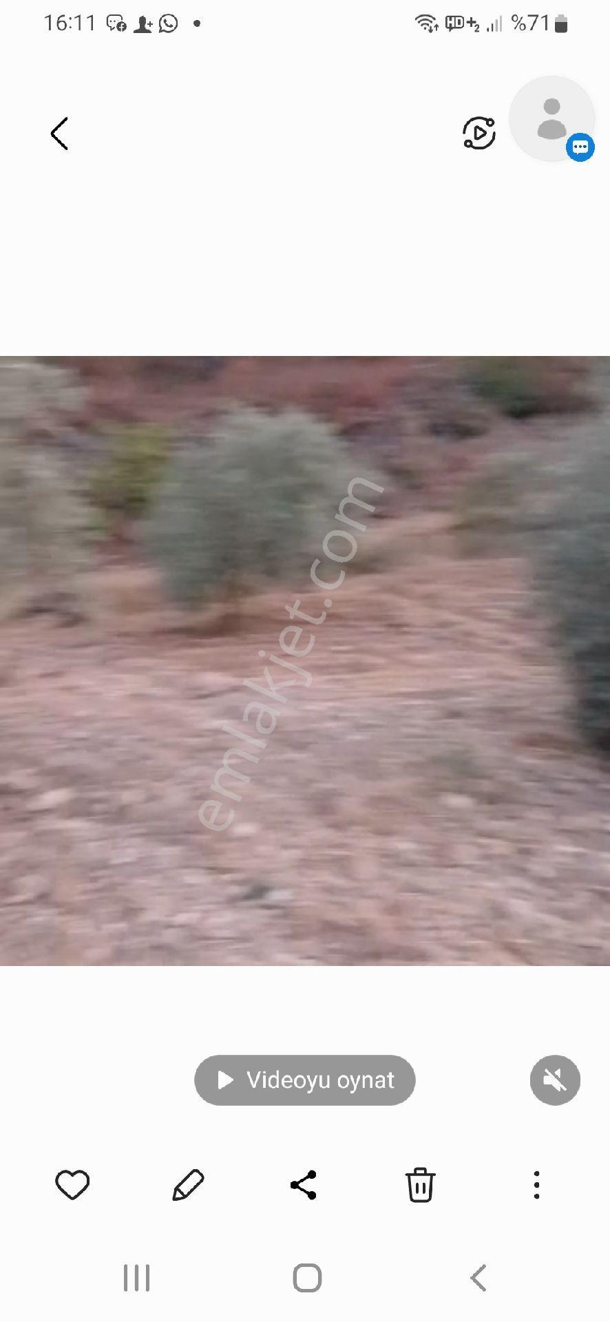 Rıza-i Taksimli 1920 M2