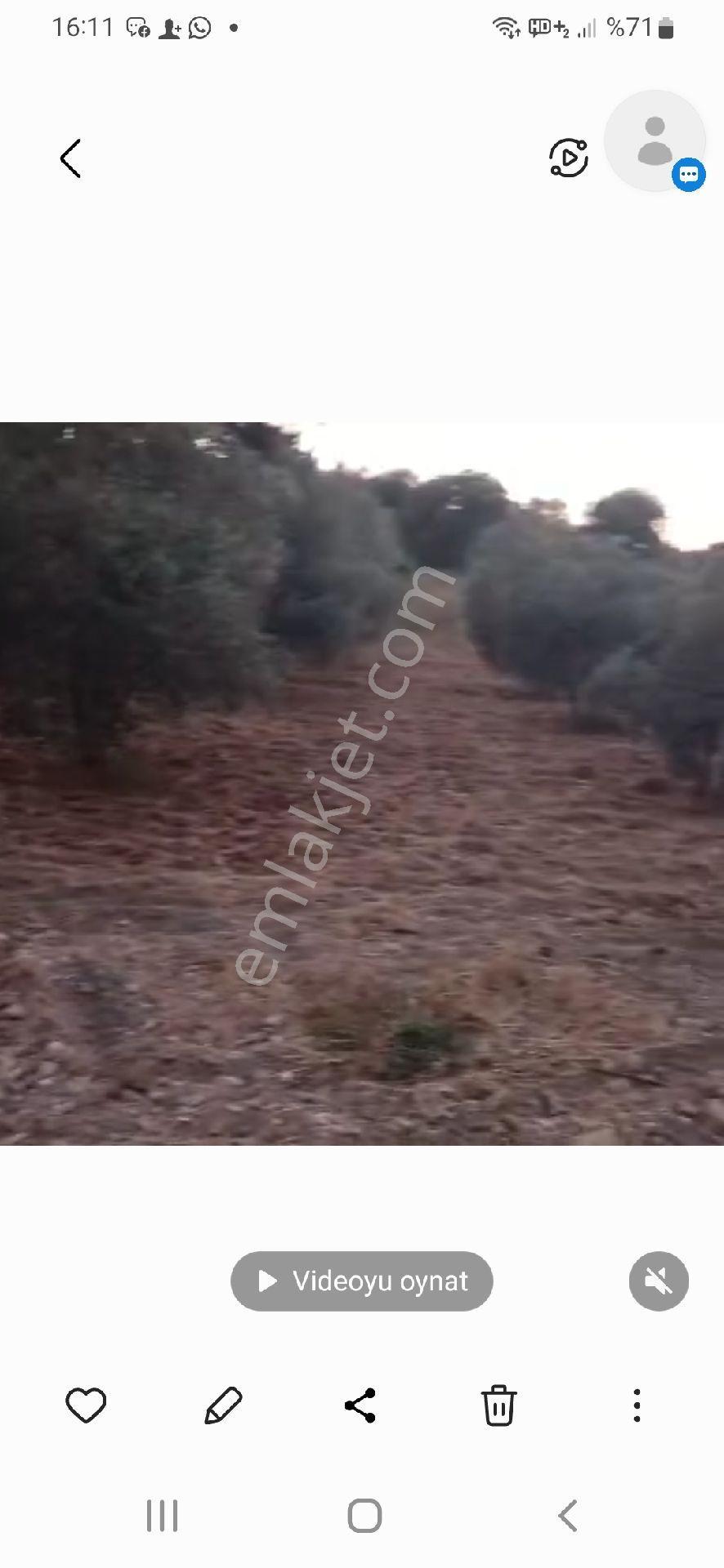 Rıza-i Taksimli 1920 M2 - Görsel 4