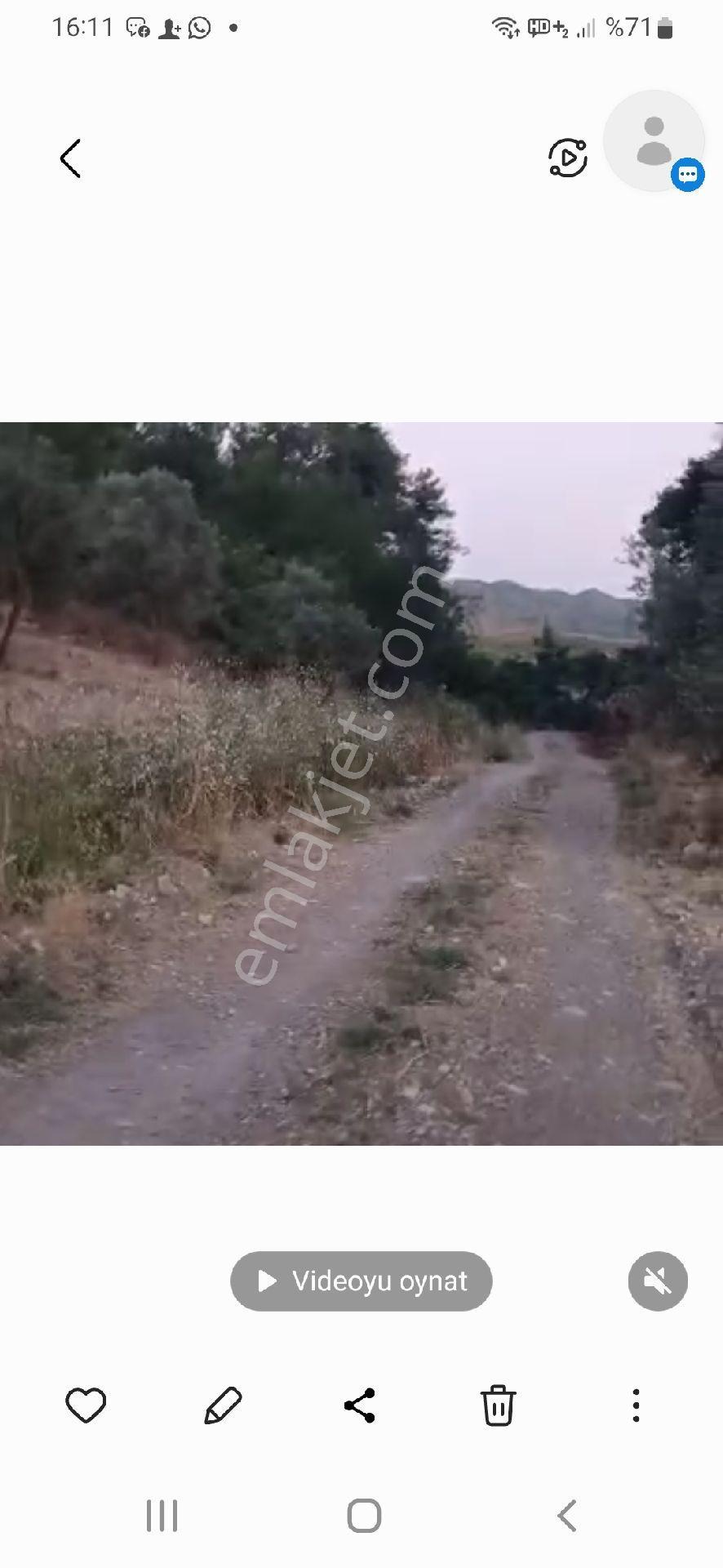 Rıza-i Taksimli 1920 M2 - Görsel 2
