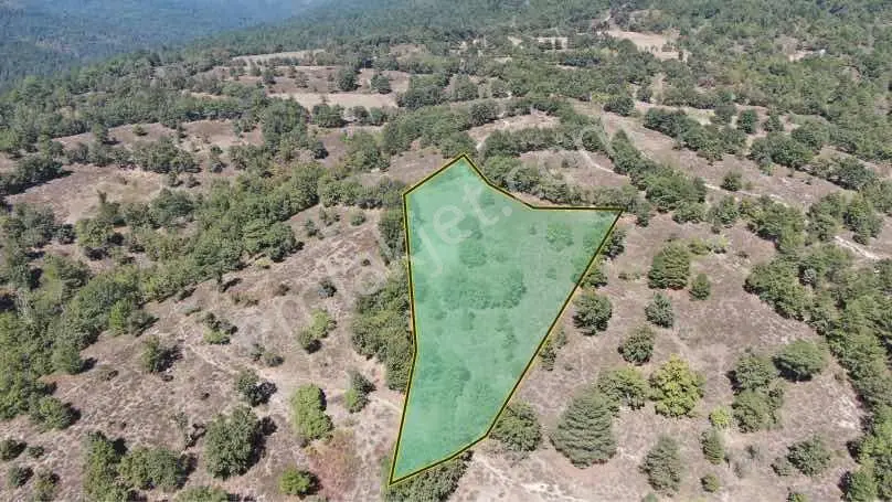 Kazdağları'nda Muhteşem Manzaralı Tarla - Görsel 4