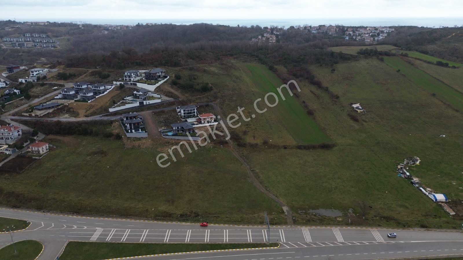 Şile'de Yatırımlık 21.500 M2 Projesı Cızılmıs Ana Yol Uzeri - Görsel 12