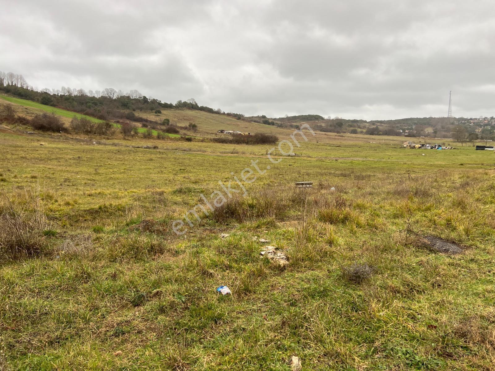 Şile'de Yatırımlık 21.500 M2 Projesı Cızılmıs Ana Yol Uzeri - Görsel 21
