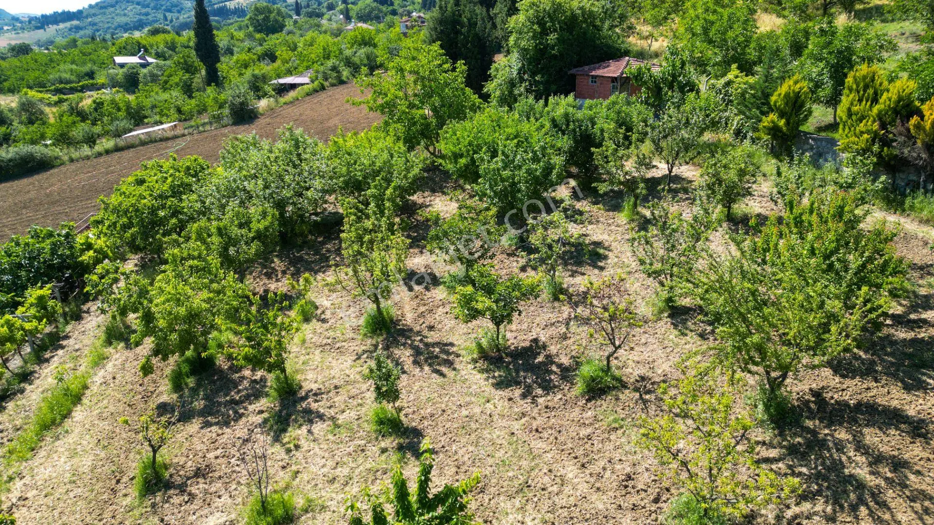 Karamürsel İnebeyli 2797 M2 Bahçe İçinde Satılık Müstakil Ev - Görsel 5