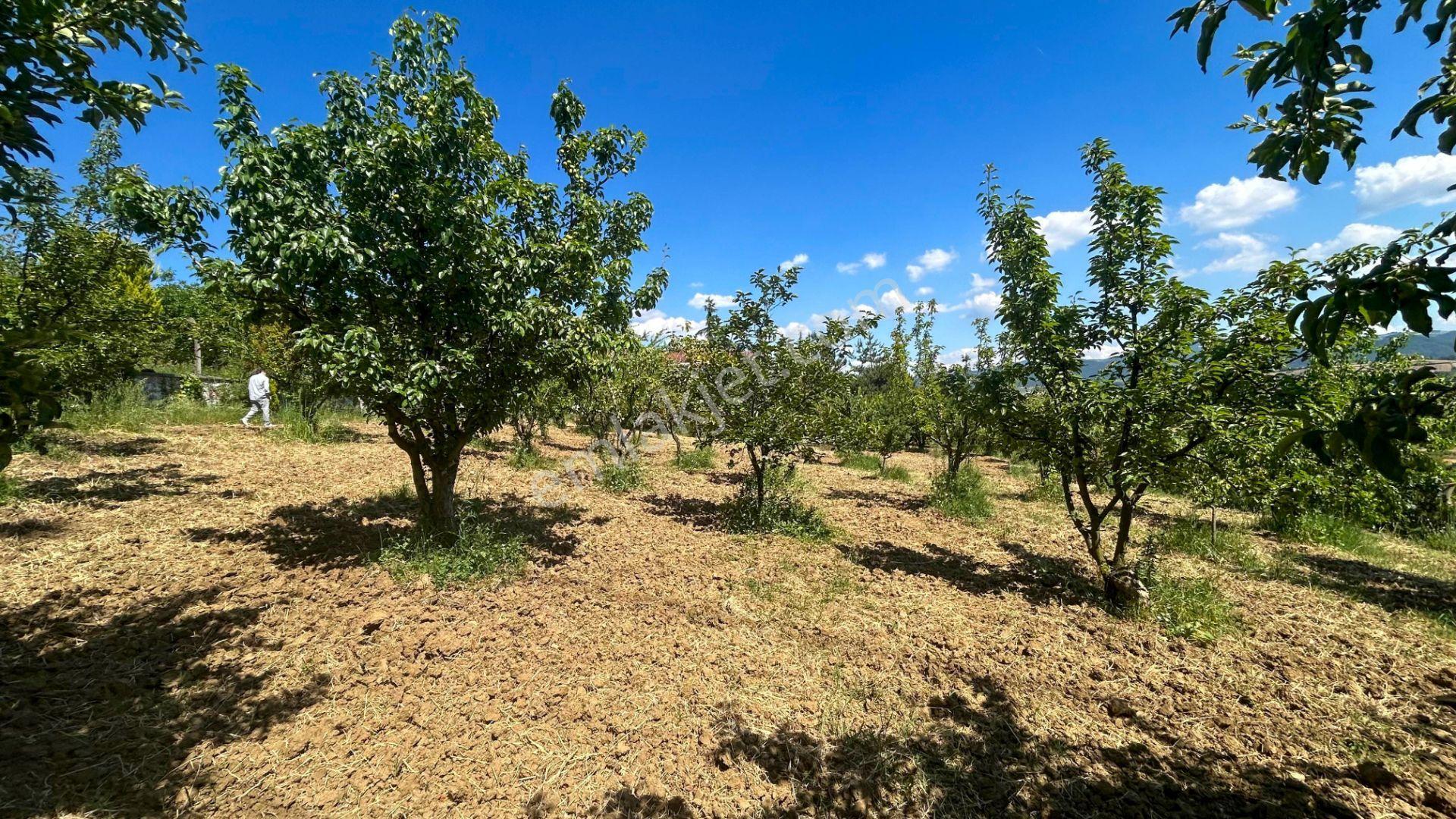 Karamürsel İnebeyli 2797 M2 Bahçe İçinde Satılık Müstakil Ev - Görsel 28