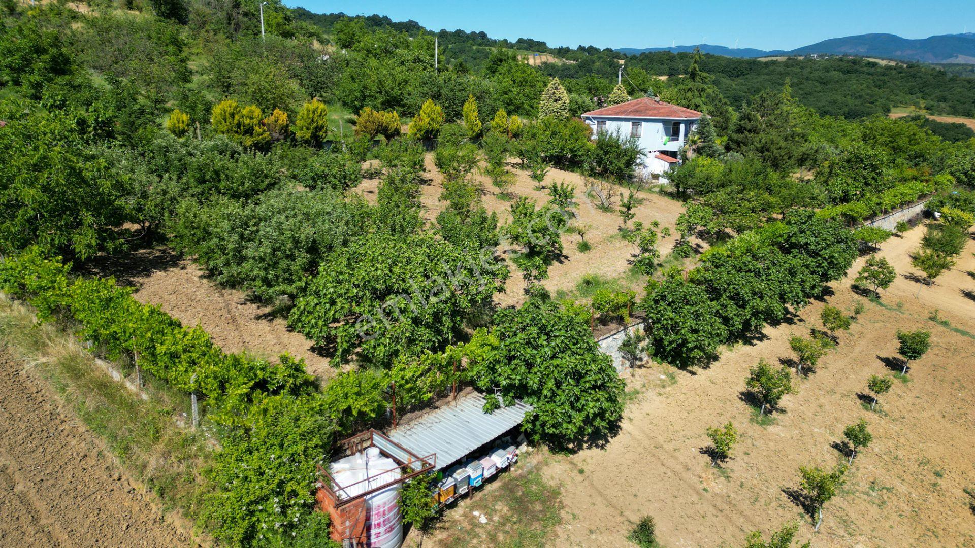 Karamürsel İnebeyli 2797 M2 Bahçe İçinde Satılık Müstakil Ev - Görsel 9