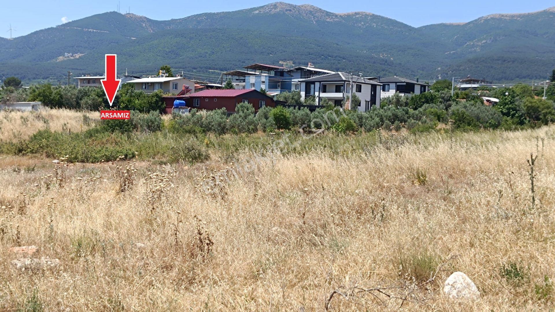 Bozköy Sancaklı Köyünde Bağımsız Parsel Satılık Arsa - Görsel 2