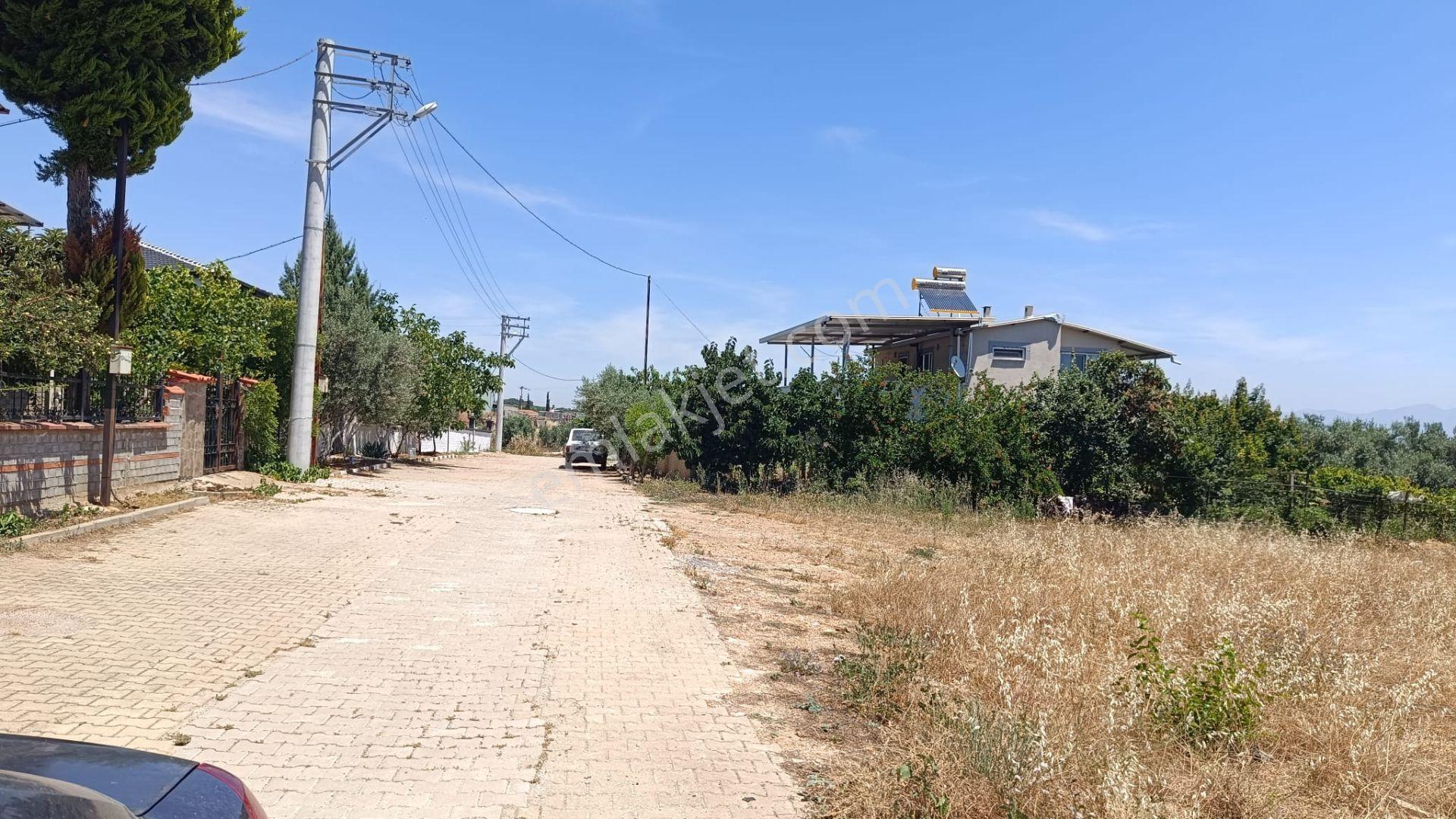 Bozköy Sancaklı Köyünde Bağımsız Parsel Satılık Arsa - Görsel 18