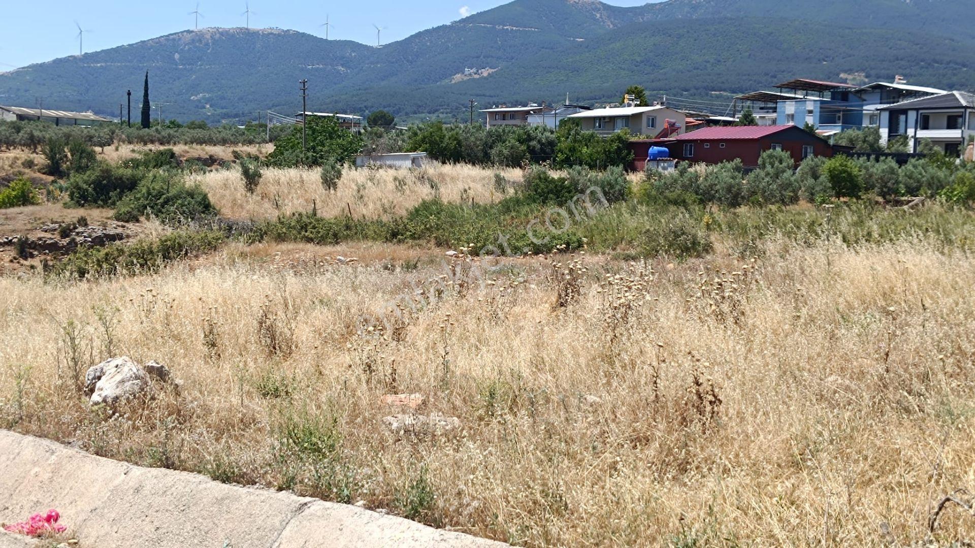Bozköy Sancaklı Köyünde Bağımsız Parsel Satılık Arsa - Görsel 23