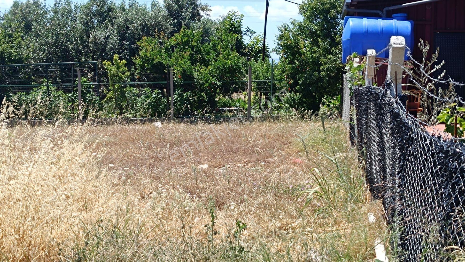 Bozköy Sancaklı Köyünde Bağımsız Parsel Satılık Arsa - Görsel 32