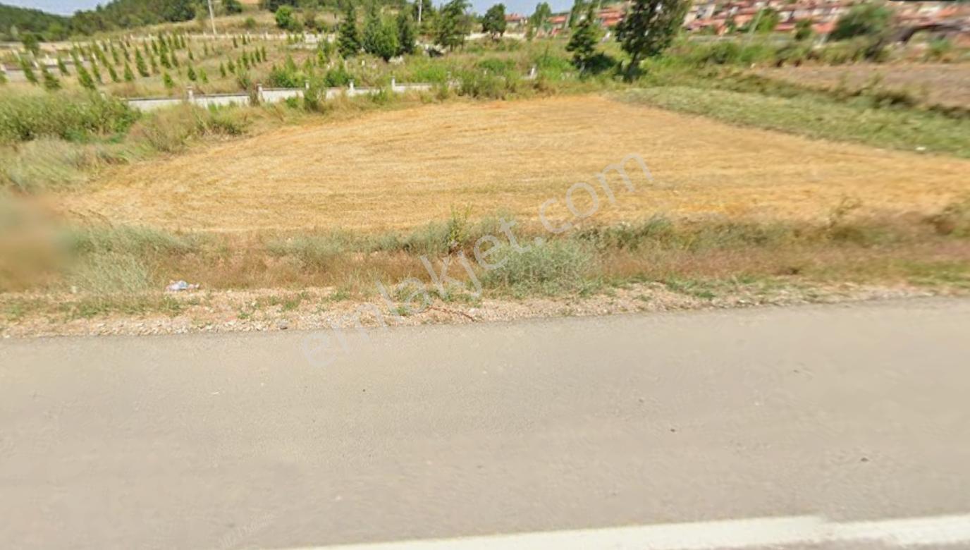 Kütahya Tavşanlı Emirler Yol Dibi Tarla - Görsel 4