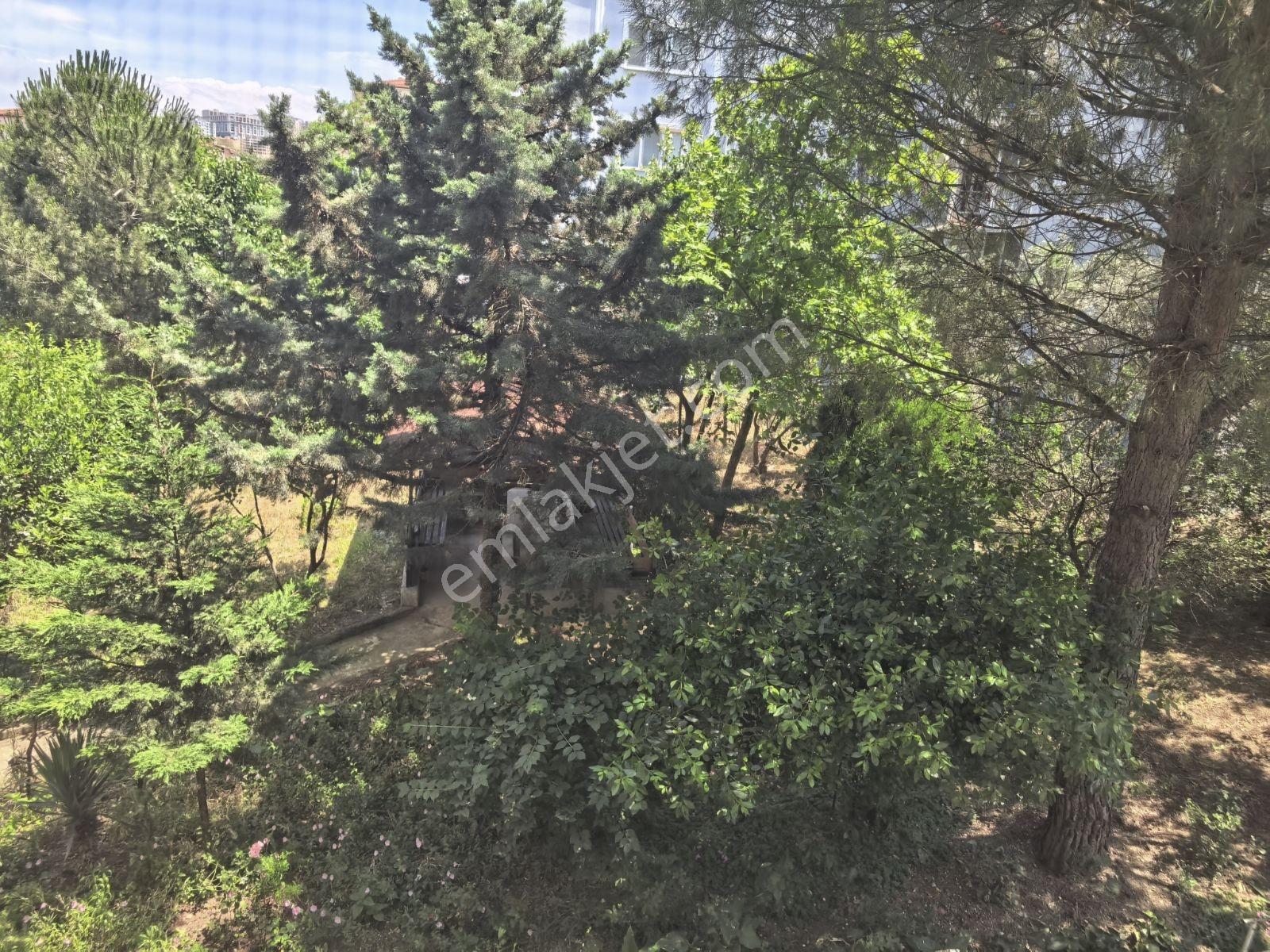 Bursa Nilüfer Balkan Mahallesi Kiralık 2+1 Daire - Görsel 2