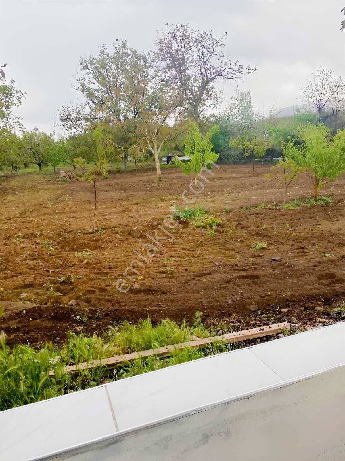 Ulukışla Porsuk Köyünde 7.000 M Tektapu Ceviz Ve Kiraz Bahçesi - Görsel 10