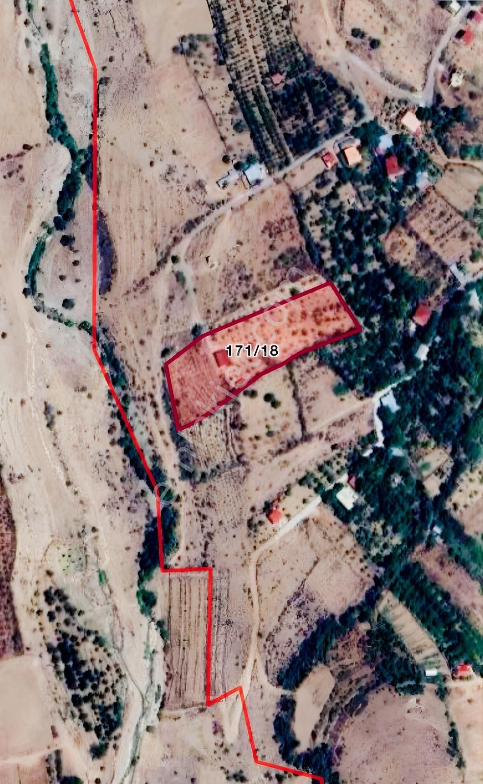 Ulukışla Porsuk Köyünde 7.000 M Tektapu Ceviz Ve Kiraz Bahçesi - Görsel 4