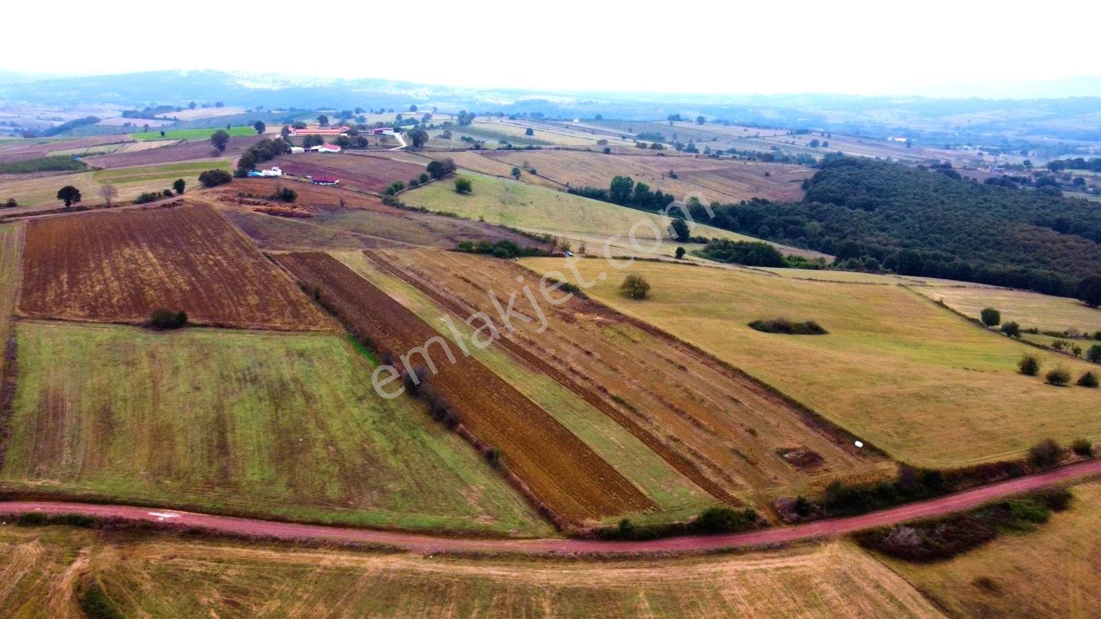 İzmit Akmeşe Satılık 7802 M2 Resmi Yola Cephe Değerli Arazi - Görsel 6