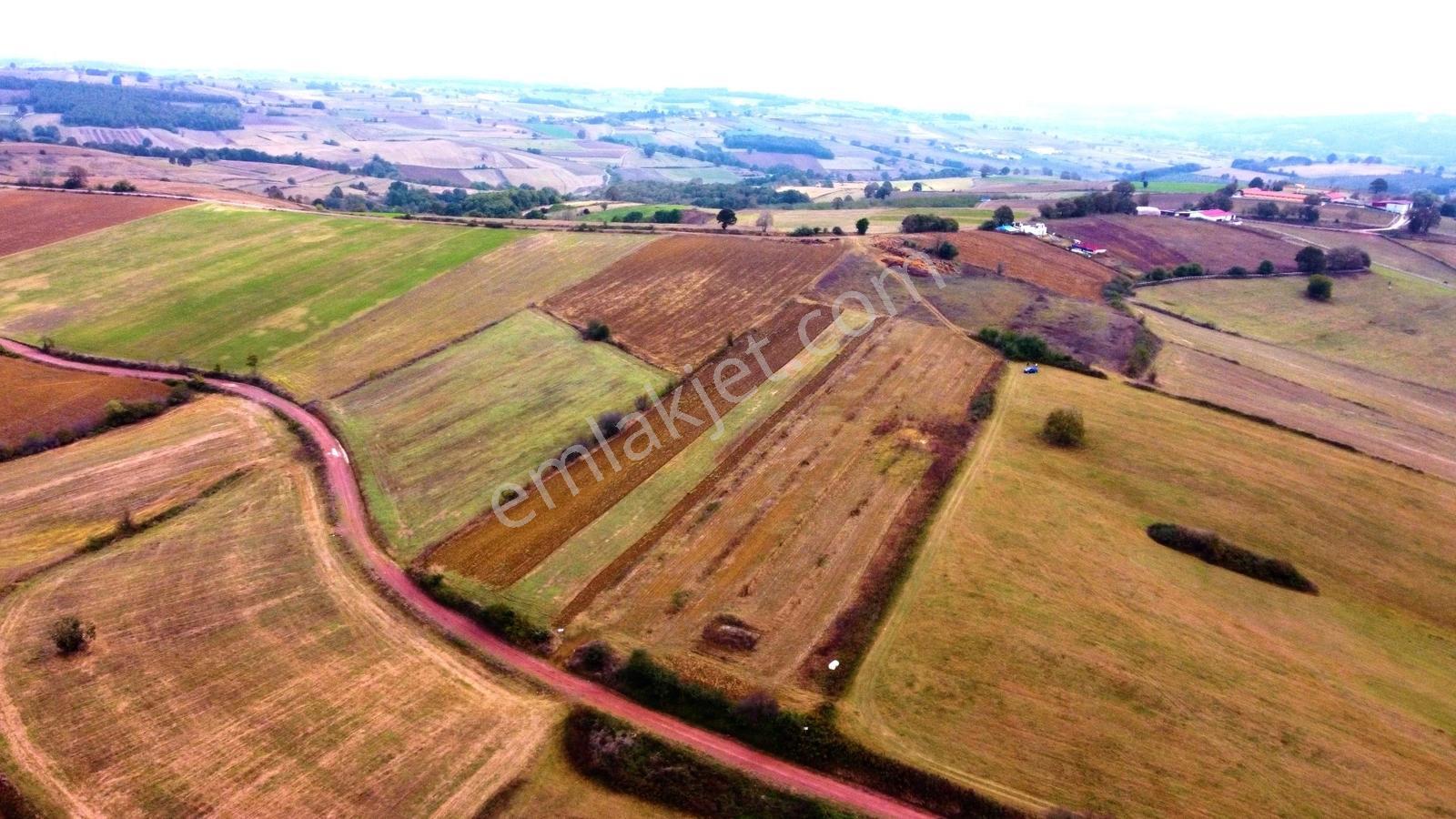 İzmit Akmeşe Satılık 7802 M2 Resmi Yola Cephe Değerli Arazi - Görsel 22