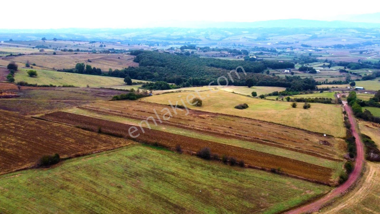 İzmit Akmeşe Satılık 7802 M2 Resmi Yola Cephe Değerli Arazi - Görsel 15