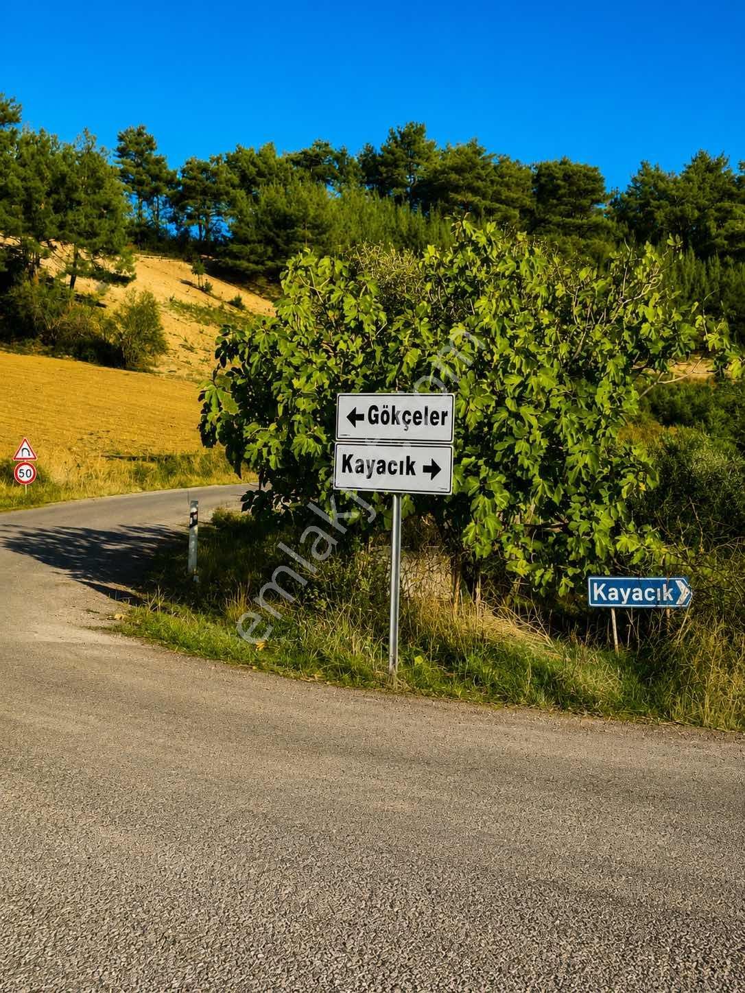 Gökçeler Mahallesi Asfalt Yola Cepheli Elektrikli Damlı Tarla - Görsel 6