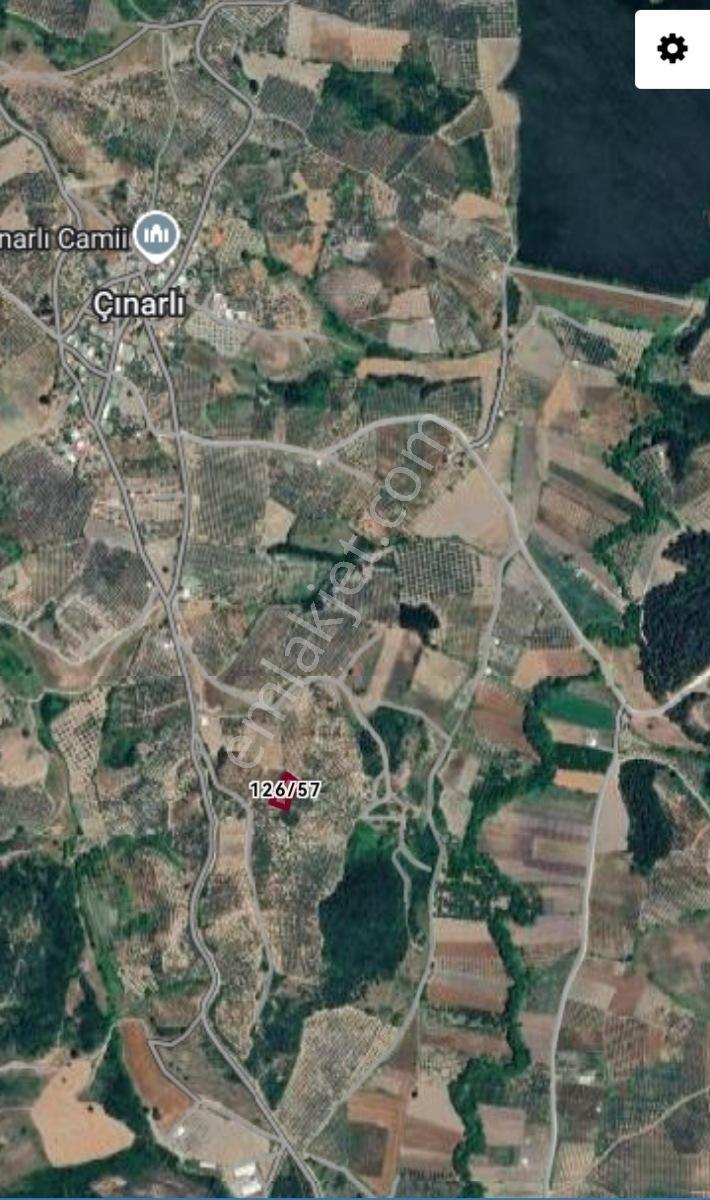 Selçuklu'dan Çınarlı'da Yerleşime Yakın Fırsat Zeytinlik - Görsel 2