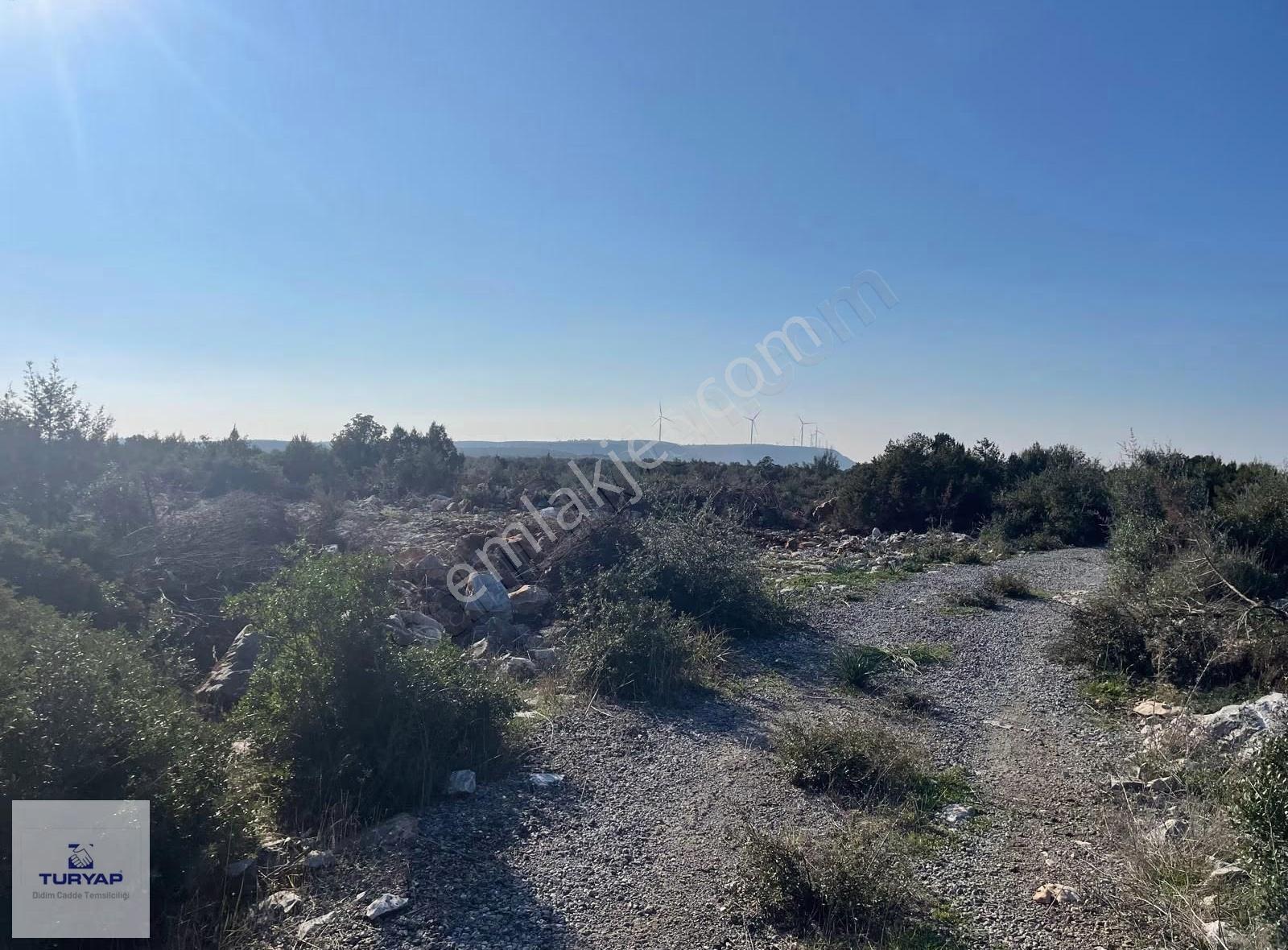 Didim Satılık Tam Müstakil Villa Arsası