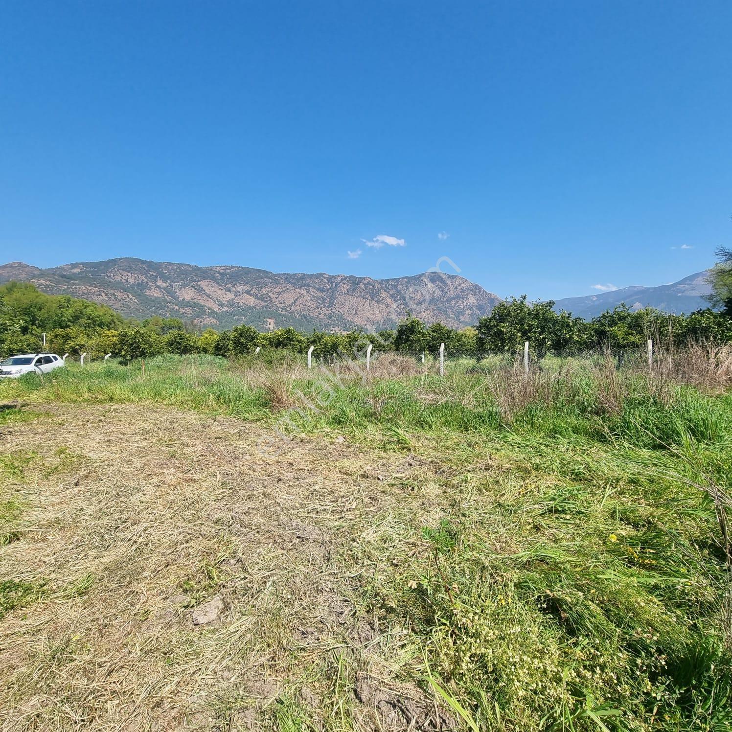 Toparlar'da Acil Satılık 500m2 2b Arazi - Görsel 2