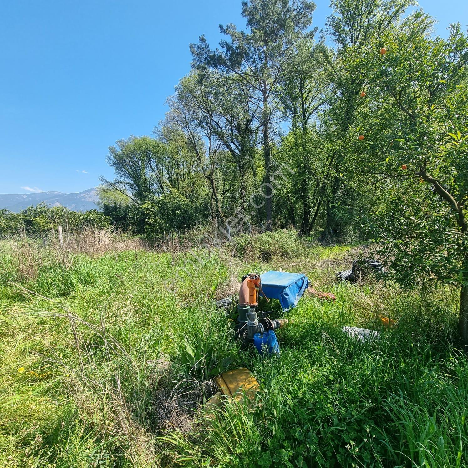 Toparlar'da Acil Satılık 500m2 2b Arazi
