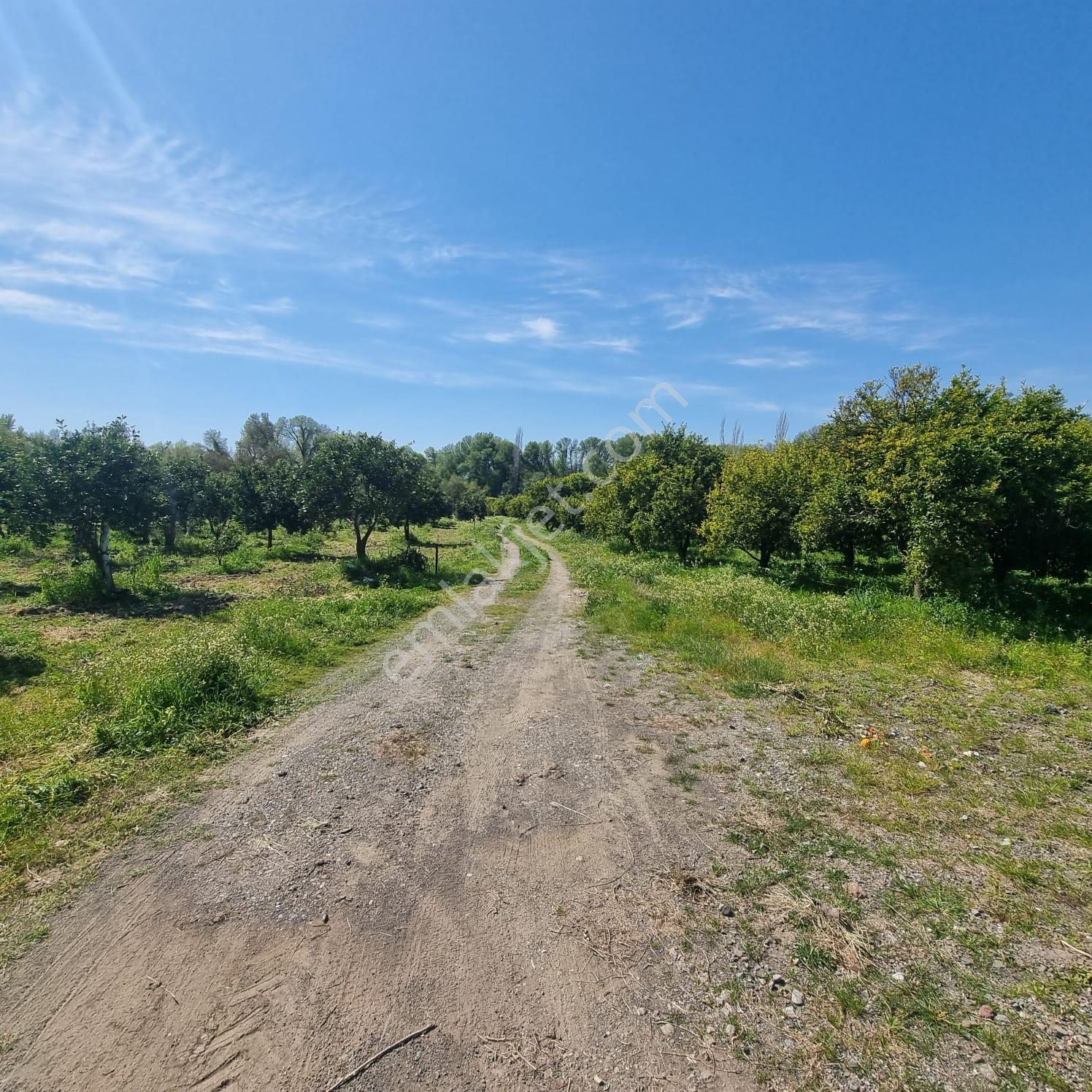 Toparlar'da Acil Satılık 500m2 2b Arazi - Görsel 8