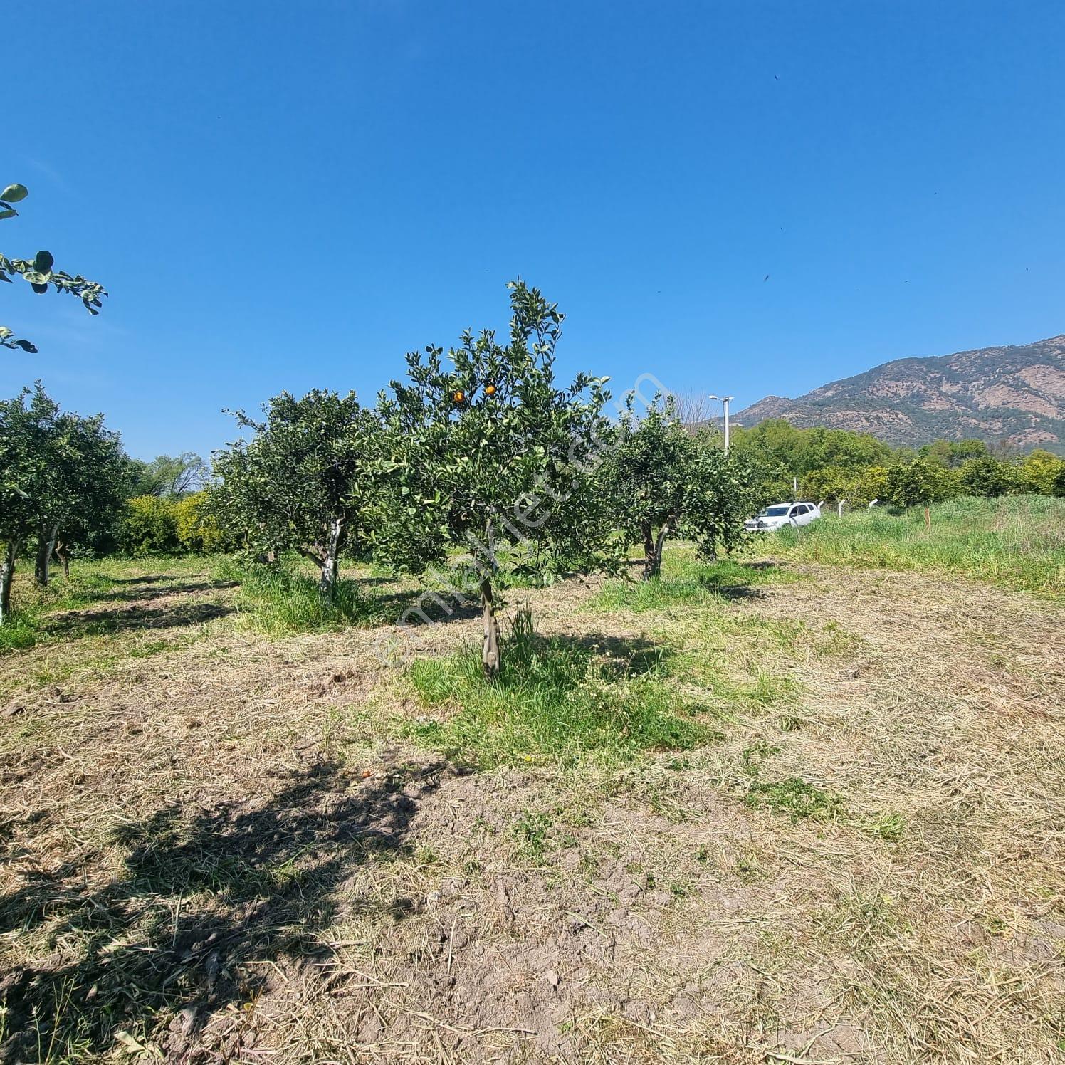 Toparlar'da Acil Satılık 500m2 2b Arazi - Görsel 3