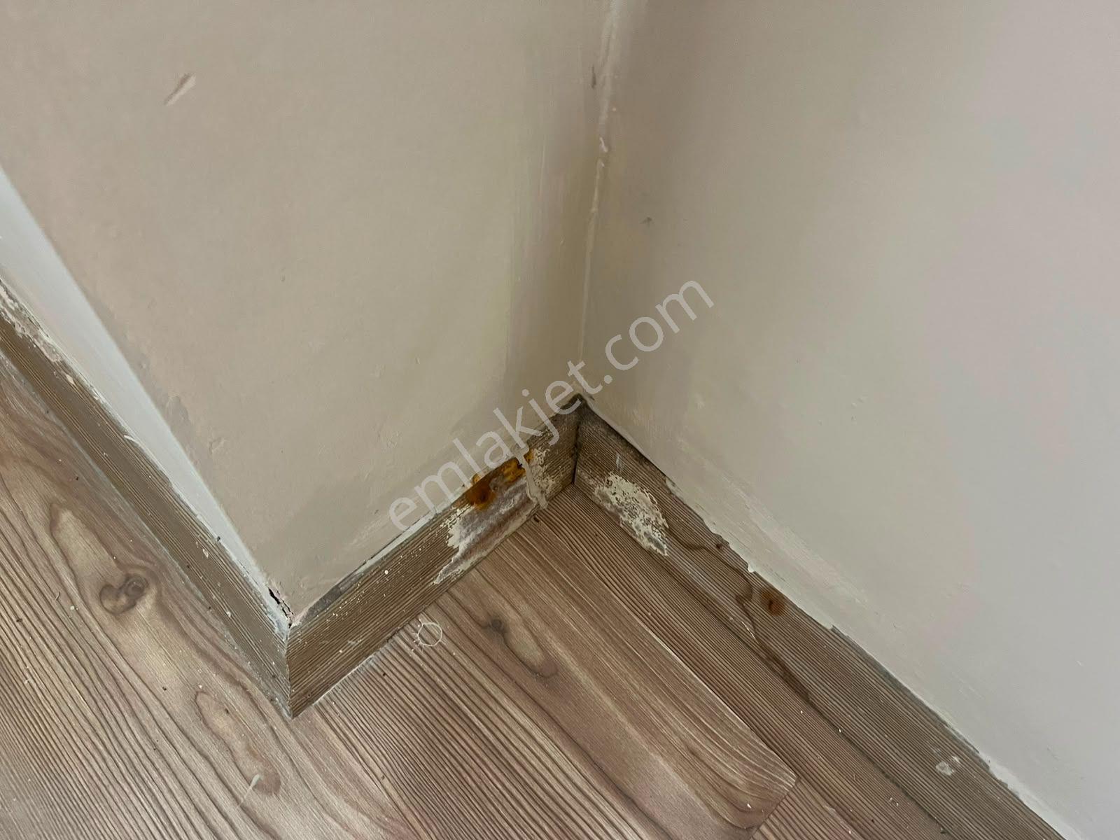 Pegaas'tan Mustafa Kemal Paşa Mah. 1+1 Bahçe Katı Kiralık Daire* - Görsel 14