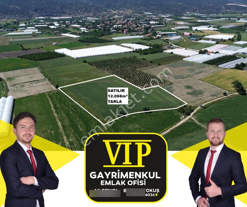 Vip Gayrimenkul'den Zümrütova Mah. Bölgede Enuygun Fiyatlı Tarla