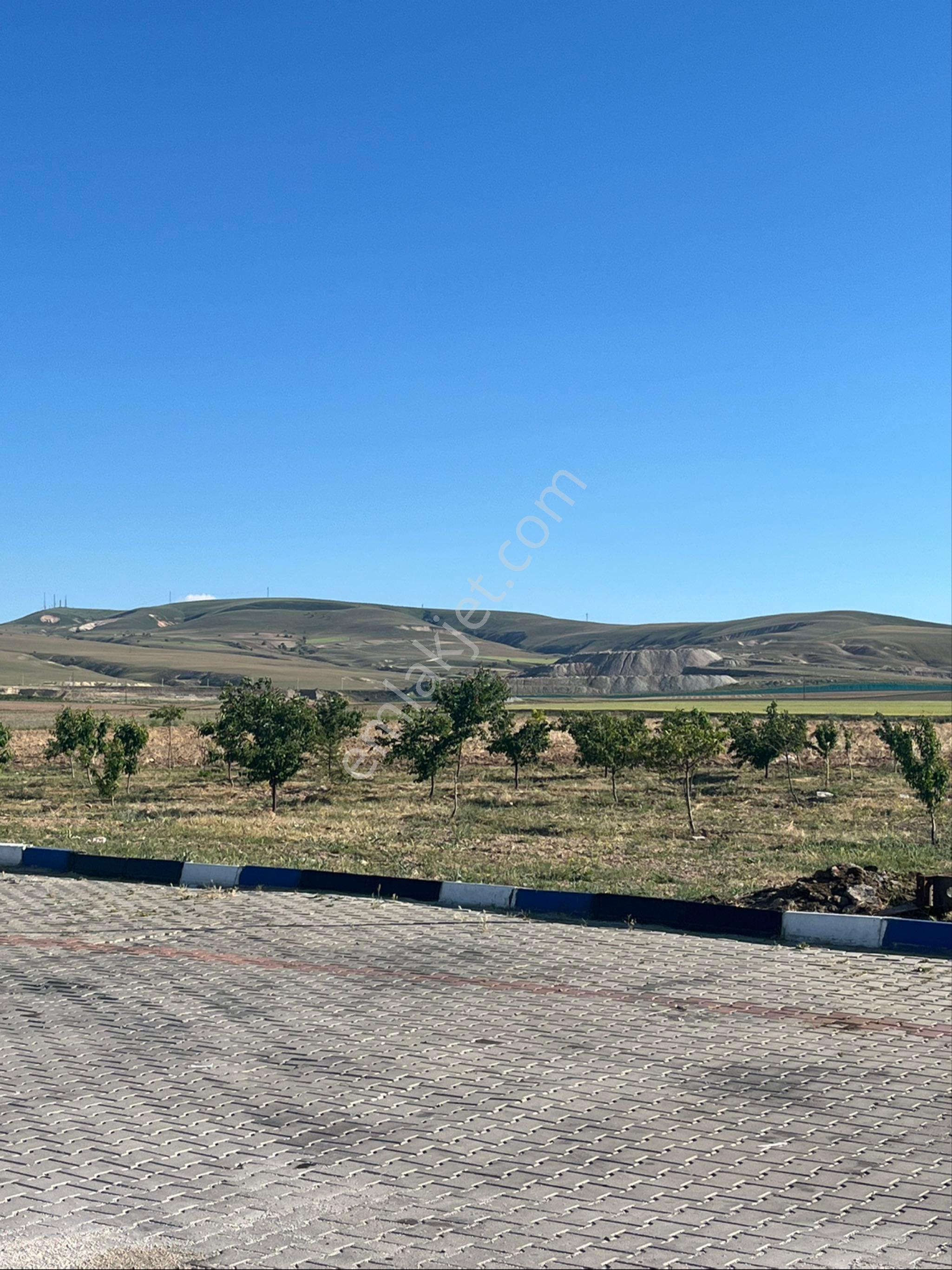 Ulukışla Kemalpaşa Karayolu Üzeri İşyeri Arsası - Görsel 11