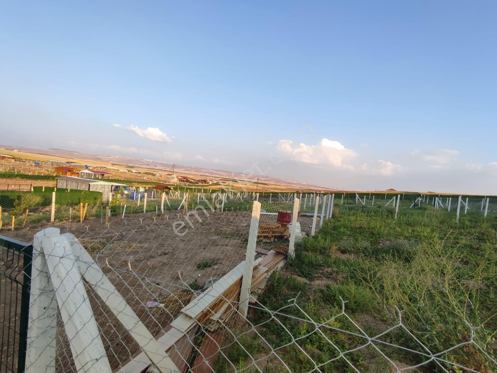 Yılmaz Gayrimenkul Kop.hisse Noter E Devlet Onaylı Sıncana 18 Km - Görsel 19