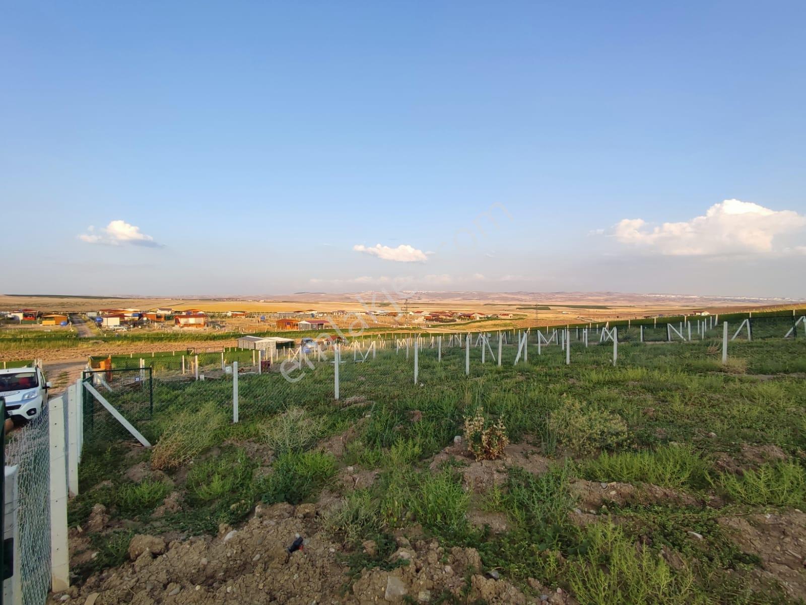 Yılmaz Gayrimenkul Kop.hisse Noter E Devlet Onaylı Sıncana 18 Km - Görsel 20