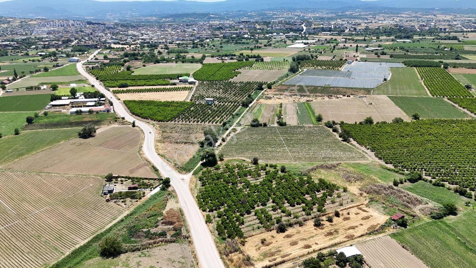 Bursadabul'dan Atariye Mah.ana Asfalt,mevye Bahçesi 10.728m2 - Görsel 8