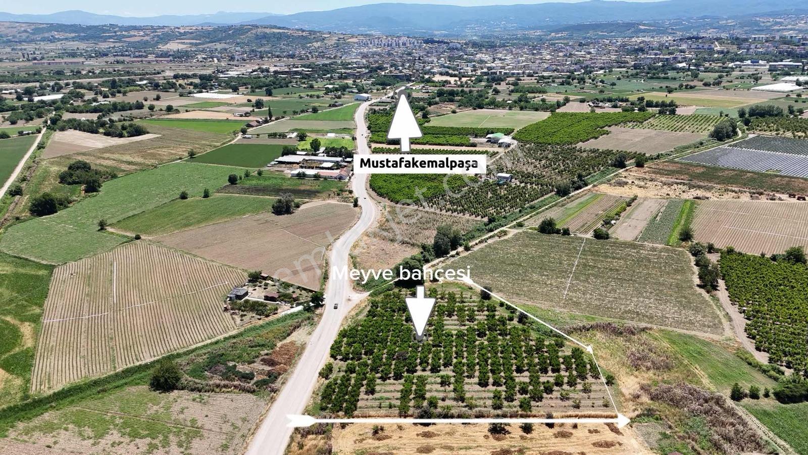 Bursadabul'dan Atariye Mah.ana Asfalt,mevye Bahçesi 10.728m2 - Görsel 3