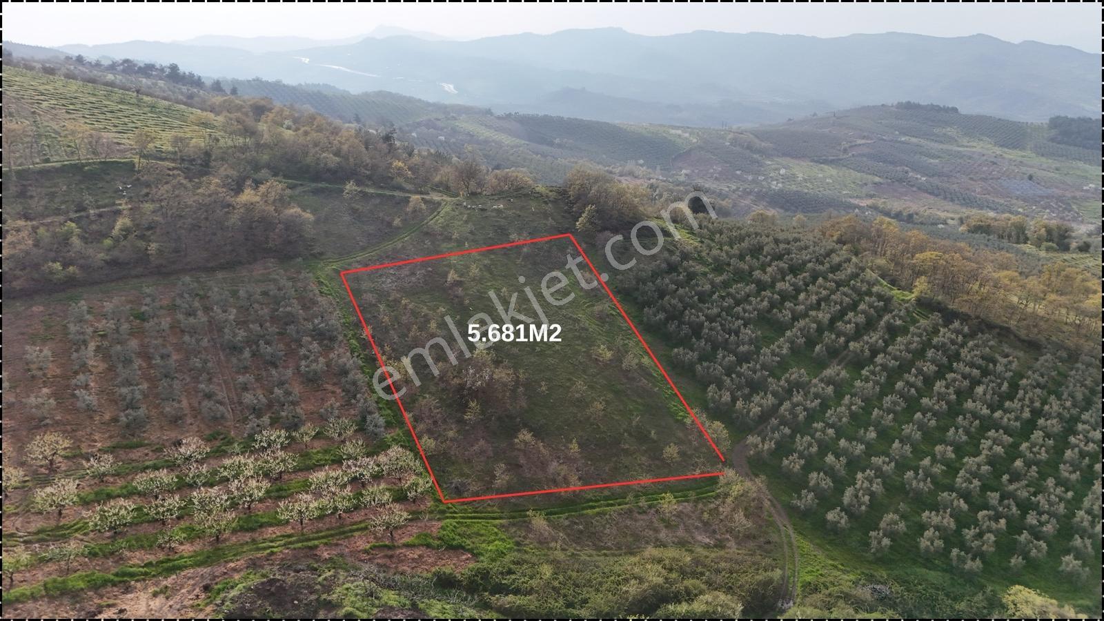 Kaçırılmayacak Fırsat! Yol Cepheli Arazi - Görsel 8