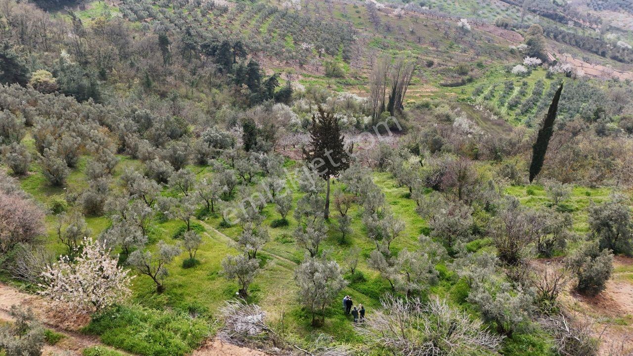 Kadastro Yoluna Cepheli, 2.722 M² Satılık - Görsel 9