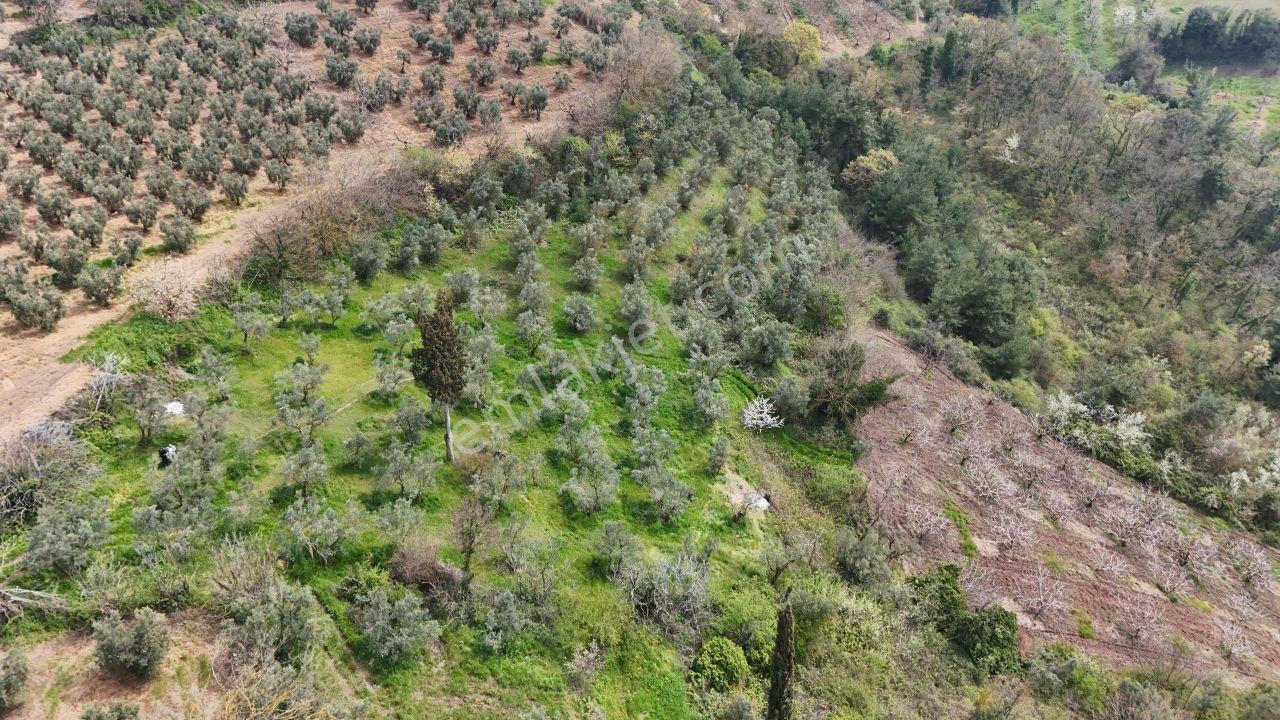 Kadastro Yoluna Cepheli, 2.722 M² Satılık - Görsel 2