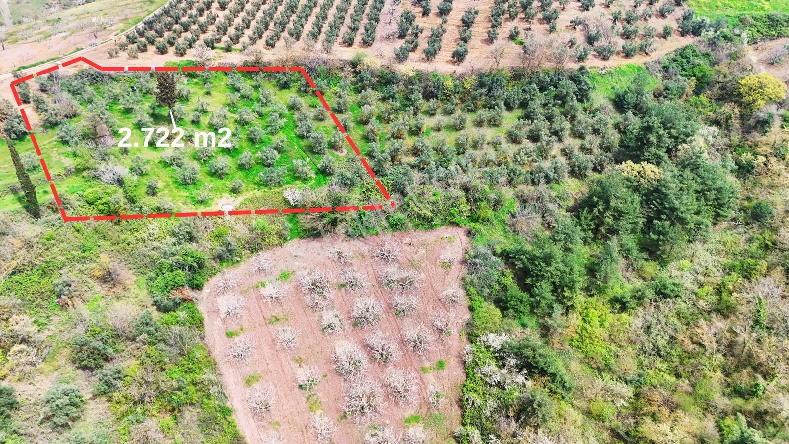 Kadastro Yoluna Cepheli, 2.722 M² Satılık