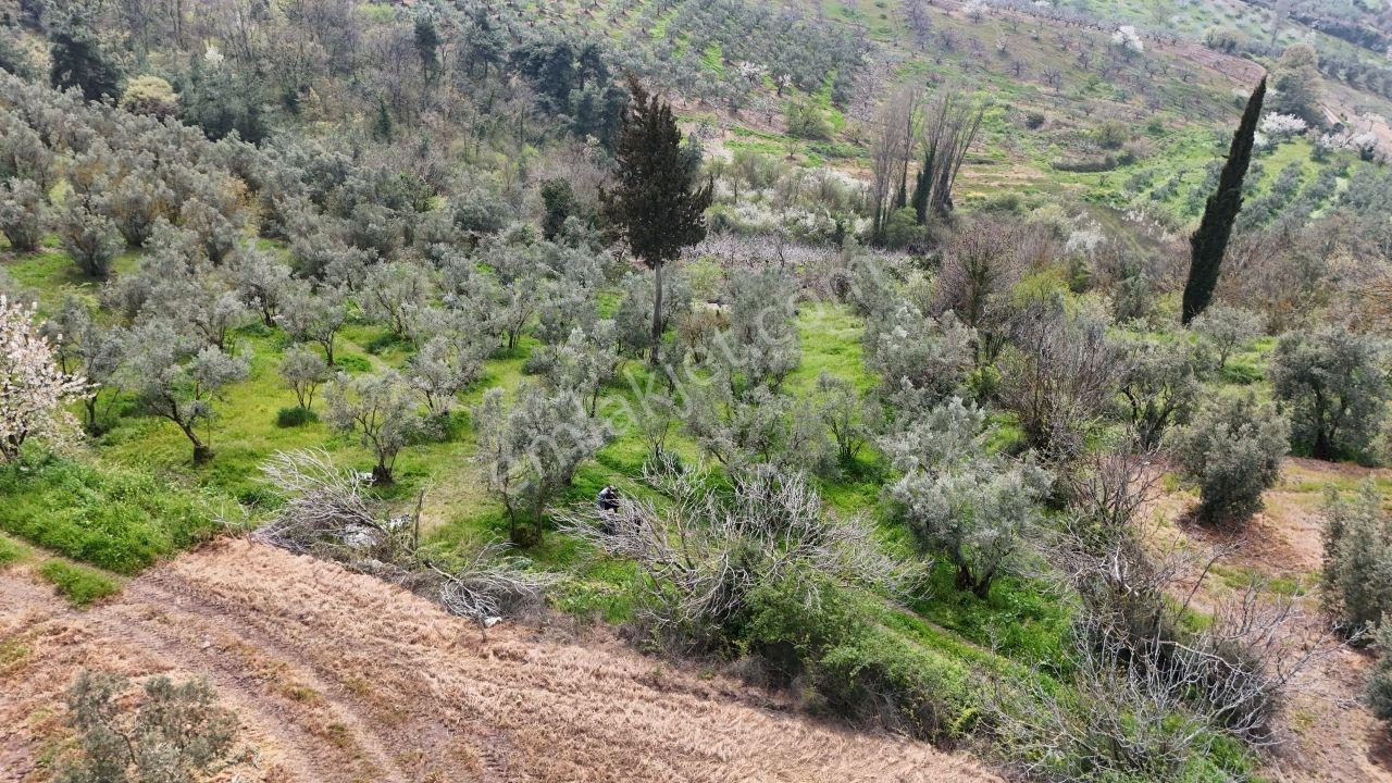 Kadastro Yoluna Cepheli, 2.722 M² Satılık - Görsel 3